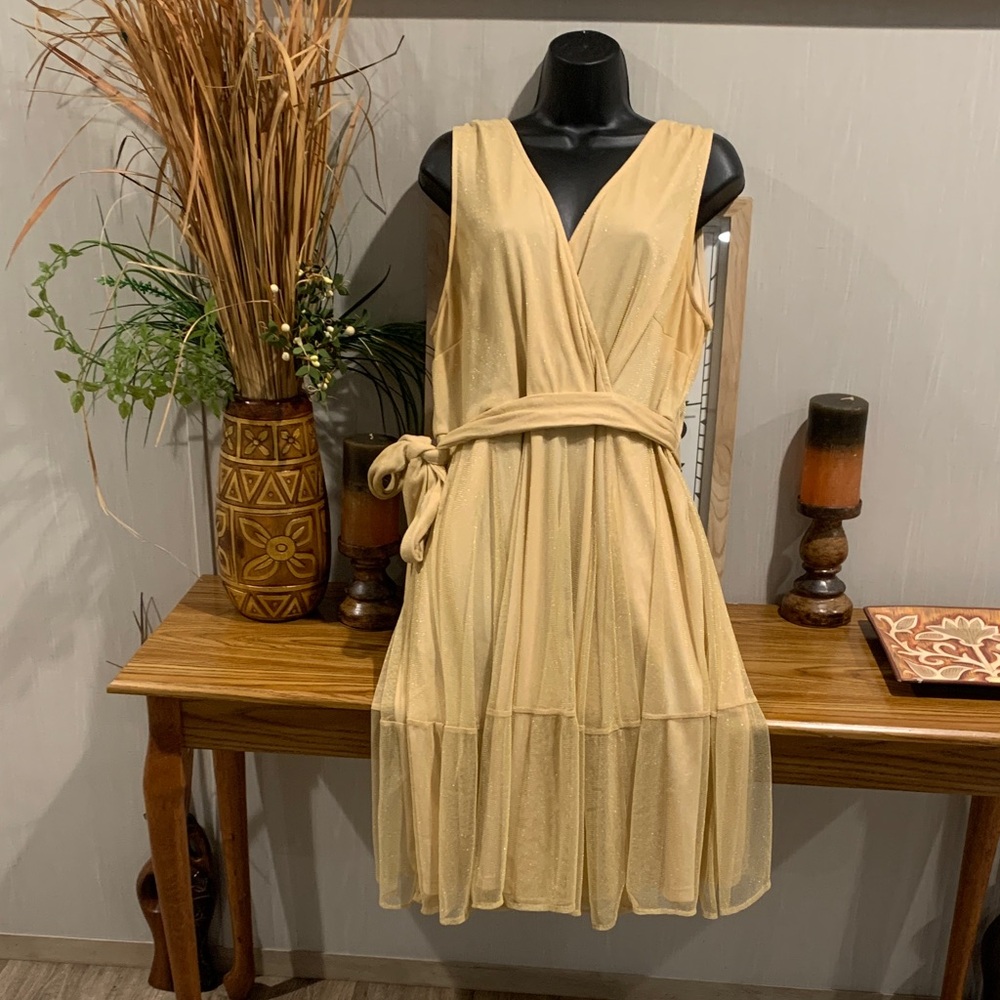 Torrid Gold Shimmer Midi Dress & Necklace
